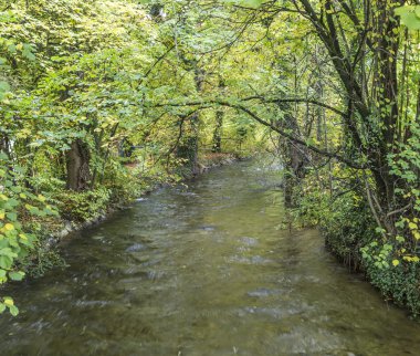 Münih'te yeşil ağaçlar ile güzel nehir wuerm