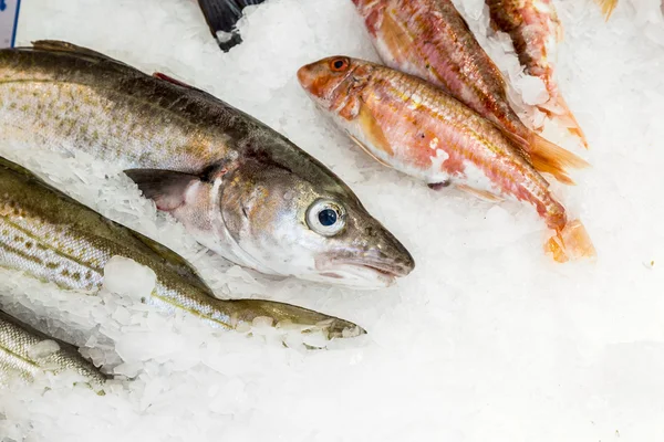 Pesci freschi interi sono offerti nel mercato del pesce — Foto Stock