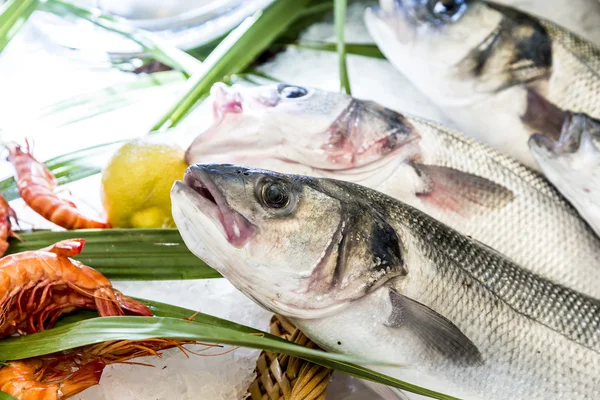 Hela, färska fiskar erbjuds i fiskmarknaden — Stockfoto