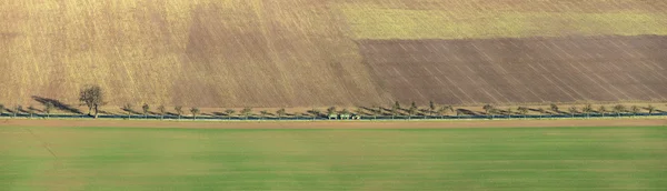 Landelijk gebied in het Kyffhaeuser gebied met alley en trekker — Stockfoto