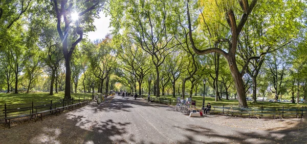 Osób korzystających, chodzenie w Central Park — Zdjęcie stockowe