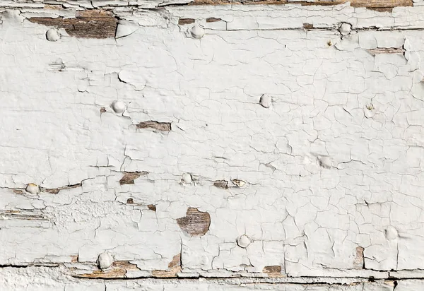 Peeling color at an old wooden door — Stock Photo, Image