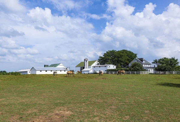 Casa de fazenda com campo e silo — Fotografia de Stock