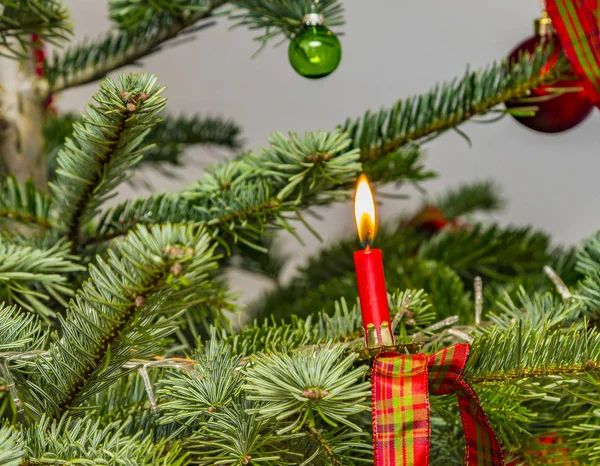 Rode kaars met vlam op de natuurlijke kerstboom — Stockfoto