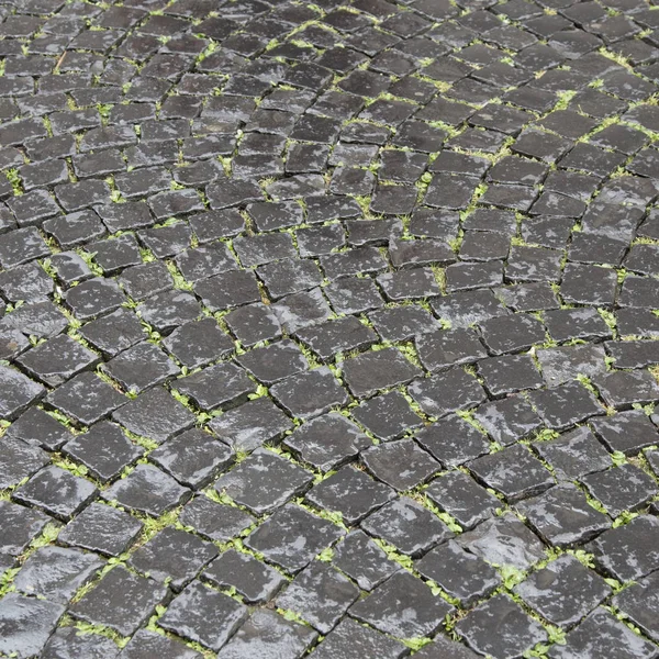 Padrão de rua de pedra de paralelepípedo velho na chuva — Fotografia de Stock