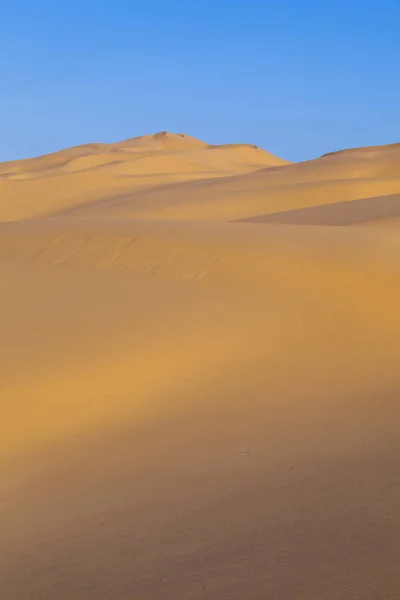 Duna de arena al amanecer en el desierto — Foto de Stock