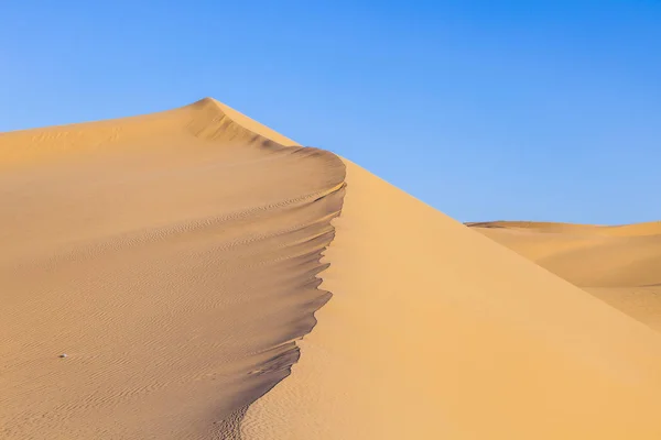 Duna de areia ao nascer do sol no deserto — Fotografia de Stock