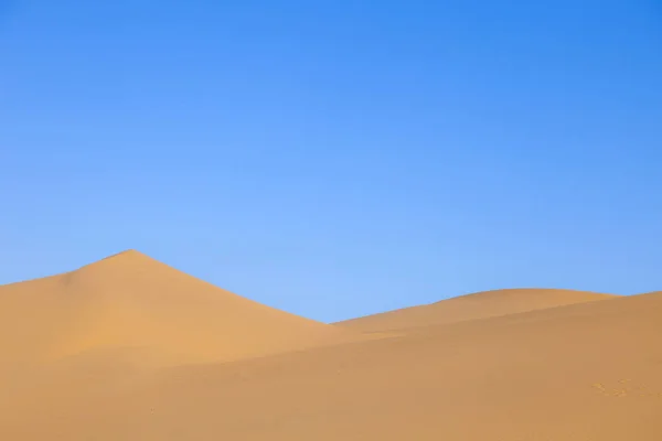 在日出在沙漠里的沙丘 — 图库照片