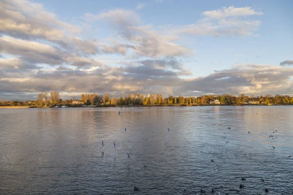 Skyline лівого берега Рейну, видно з Mainz з Старий міст Рейн — стокове фото