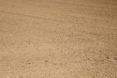 desen taze sürülmüş alanının 