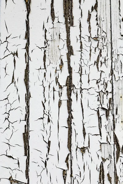 White Peeling Paint Wooden Board — Stock Photo, Image