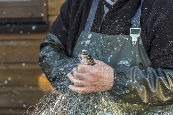 Handen van visser in Koserow schoonmaken het visnet — Stockfoto