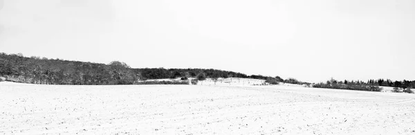 Landsbygdens landskap i Bad Frankenhausen i snö — Stockfoto
