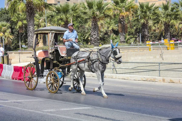 Всадник на лошадях в Валетте на улице — стоковое фото