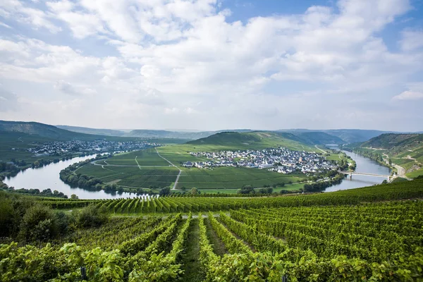 Almanya, Trittenheim 'daki ünlü Moselle nehir döngüsü — Stok fotoğraf