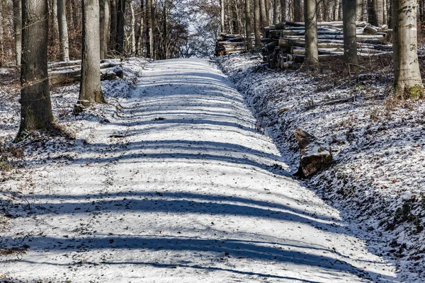 Güzel donmuş yolu. Kış kırsal. Kar orman. Güzel ahşap — Stok fotoğraf