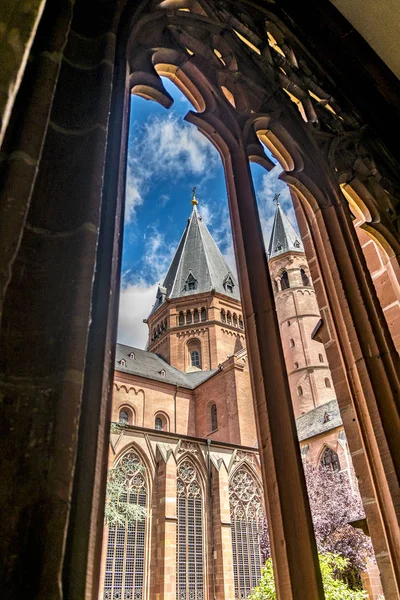 Mainzer Dom cattedrale di Magonza — Foto Stock