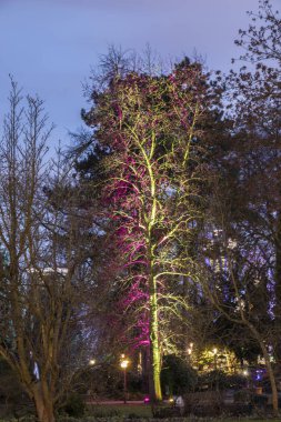  ışık olayı Winterlichter gece Frankfu Palmgarden tarafından