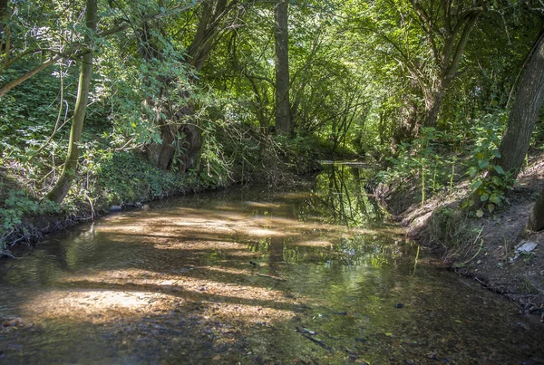 Beautiful small creek surrounded by green trees — Stock Photo, Image