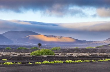 extinguished volcanoes in Timanfaya National Park clipart