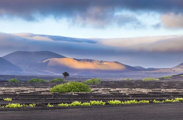 Gedoofd vulkanen in nationaal park timanfaya — Stockfoto