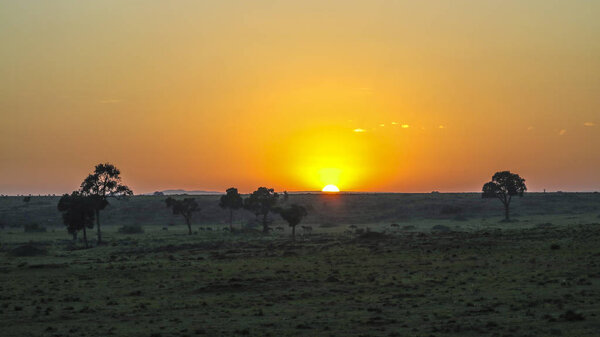 Africa. Kenia. sunset in Masai Mara National Park.