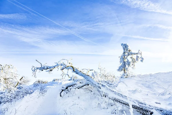 Solsken under vintern lugna berglandskap med vackra — Stockfoto