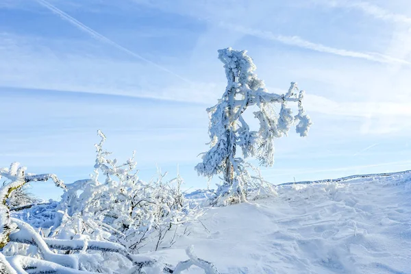Ηλιοφάνεια υπό το χειμώνα ηρεμήσει ορεινό τοπίο με όμορφα — Φωτογραφία Αρχείου
