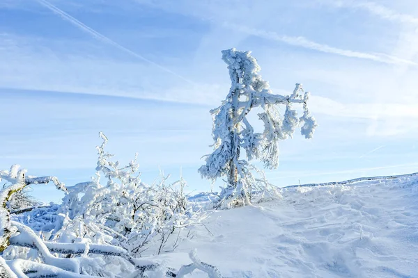 Solsken under vintern lugna berglandskap med vackra — Stockfoto