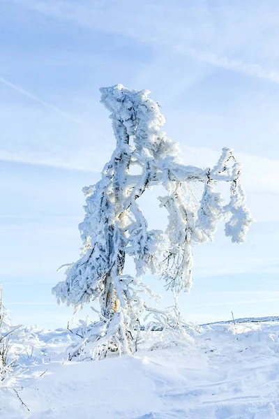 Soleil sous l'hiver paysage de montagne calme avec belle — Photo