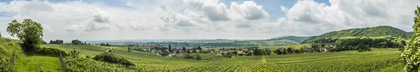 Vinici krajina v regionu Alsasko poblíž vesnice Barr — Stock fotografie