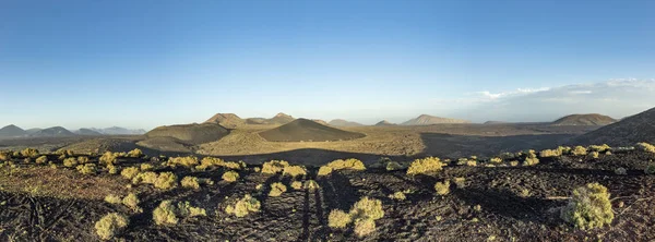 Lanzarote, Timanfaya Nemzeti park vulkanikus táj — Stock Fotó