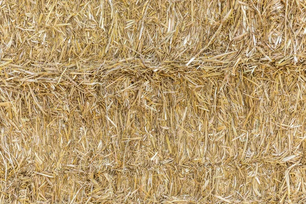 Detail of golden bale of straw — Stock Photo, Image