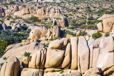 joshua tree national Park doğal kayalar 