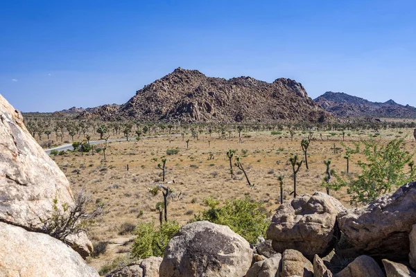 Vackra stenar i joshua tree national park — Stockfoto