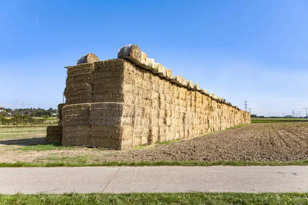 Bale of straw after harvest — Stock Photo, Image