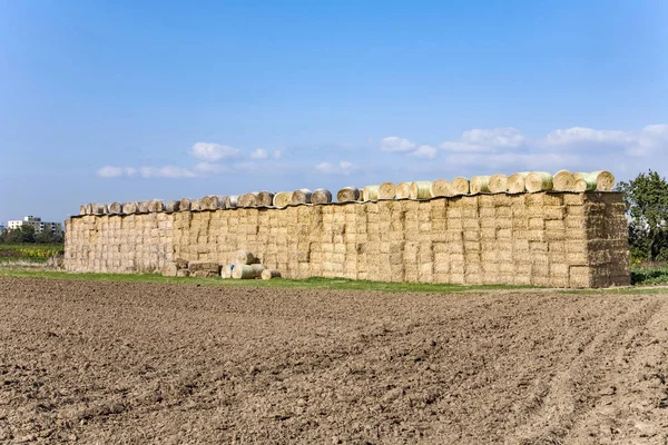 Bale of straw after harvest — Stock Photo, Image