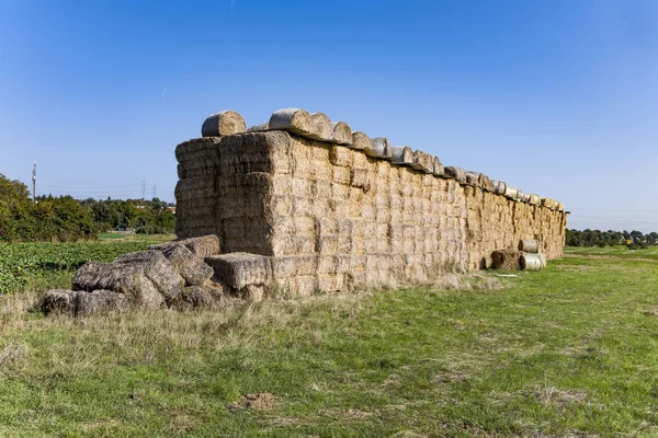 Fardo de palha após a colheita — Fotografia de Stock