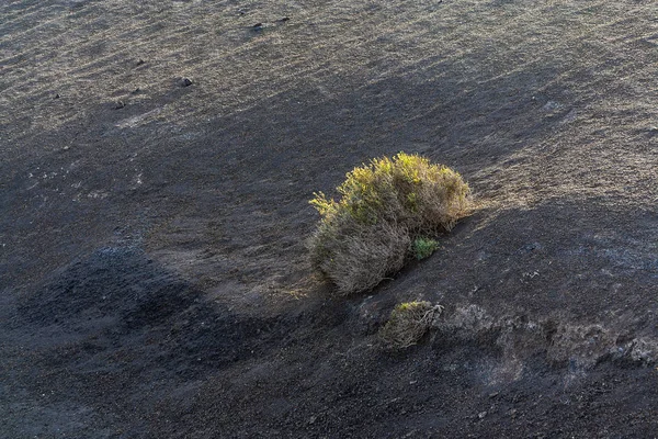 Paisaje del volcán al atardecer, parque nacional de Timanfaya — Foto de Stock