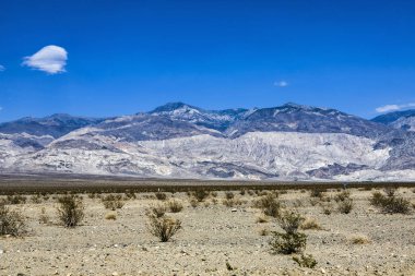 panamint vadi çöl