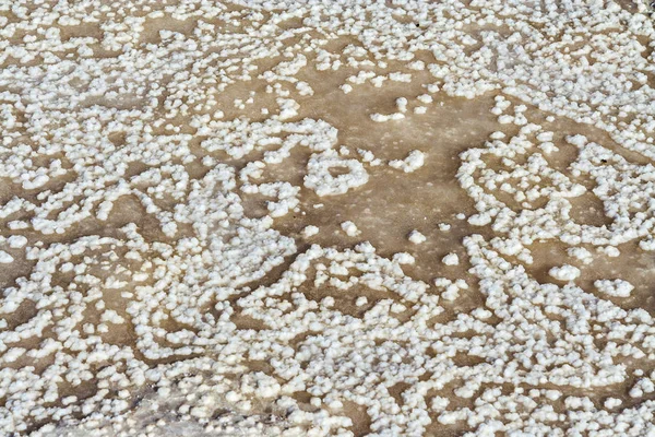 Dried salt in a basin of a salt mine — Stock Photo, Image