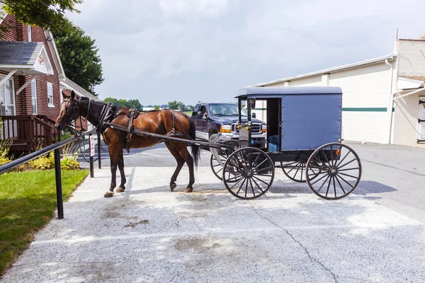 Koń, ciągnąc wózek Amiszów ludzi parki na parkingu — Zdjęcie stockowe