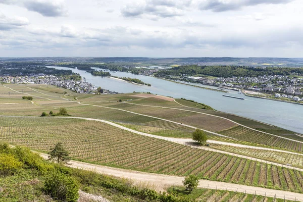 Rhendalen med utsikt till Bingen över vingårdarna — Stockfoto