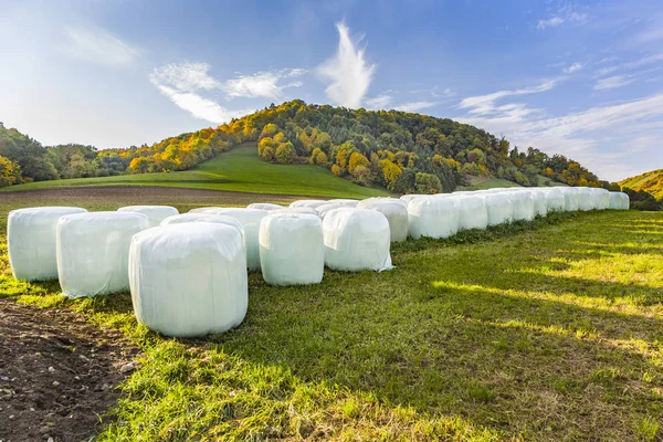Bale of straw infold in plastic film — Stock Photo, Image