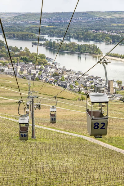 Funicular sobre as vinhas de Ruedesheim — Fotografia de Stock