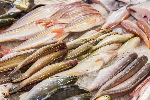 Hela, färska fiskar erbjuds i fiskmarknaden — Stockfoto