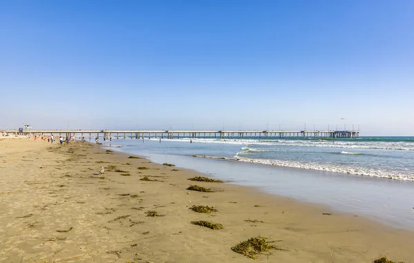 Beautiful beach in Venice with the famous Venice Pier — Stock Photo, Image