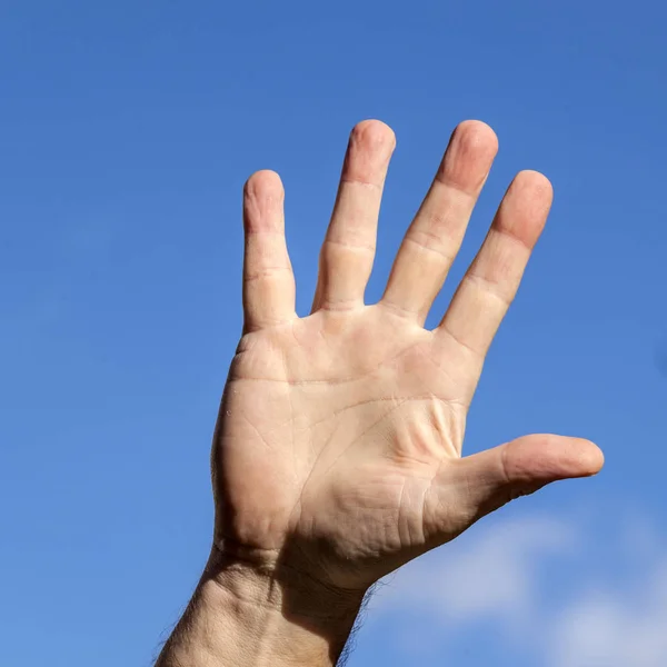 Male hand rised against blue sky — Stock Photo, Image