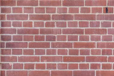 Eski tuğla duvar 