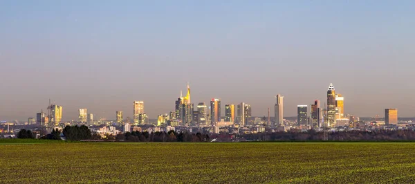 Pohled na panorama Frankfurtu s poli v úsvitu — Stock fotografie